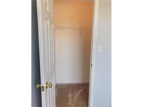 601 Spring Mnr, O'fallon, MO 63368 photo 24