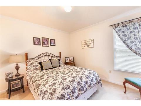 1143 Richland Meadows Dr, Ballwin, MO 63021 photo 21