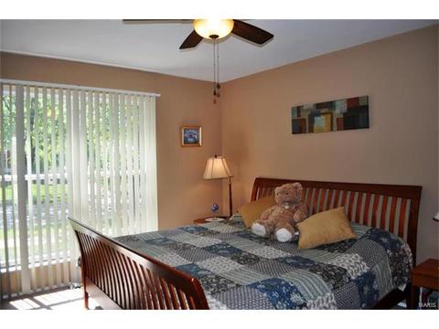 264 Aspen Village Dr, Ballwin, MO 63021 photo 9