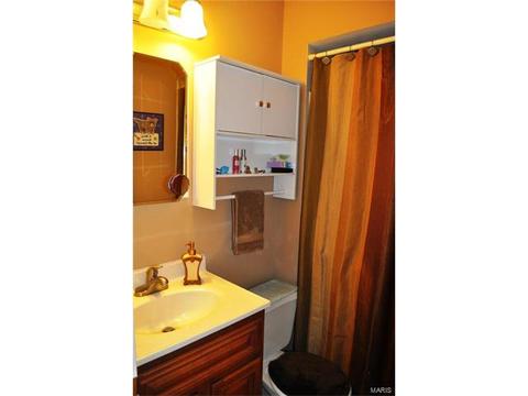 264 Aspen Village Dr, Ballwin, MO 63021 photo 11