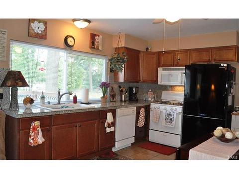 264 Aspen Village Dr, Ballwin, MO 63021 photo 3