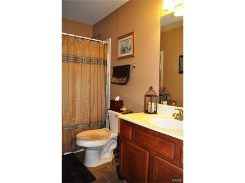 264 Aspen Village Dr, Ballwin, MO 63021 photo 15