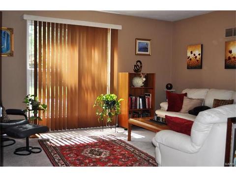 264 Aspen Village Dr, Ballwin, MO 63021 photo 2