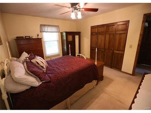 62 White Doe Ct, Eureka, MO 63025 photo 10