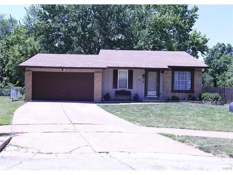 62 White Doe Ct, Eureka, MO 63025 photo 1