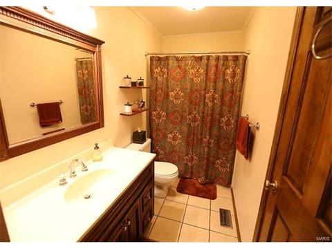 62 White Doe Ct, Eureka, MO 63025 photo 7