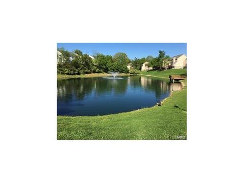 1006 Pocono Trl, Ballwin, MO 63021 photo 23