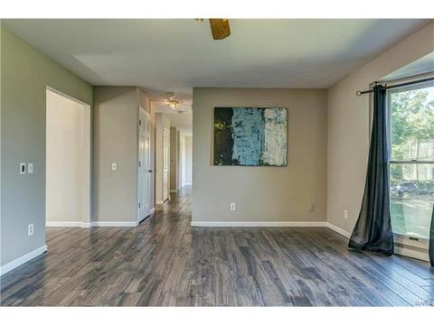 389 Dietrich Rd, Ballwin, MO 63021 photo 13