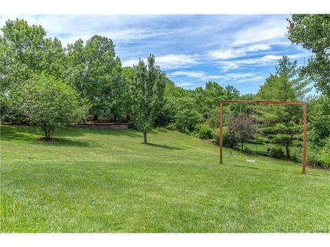 389 Dietrich Rd, Ballwin, MO 63021 photo 53
