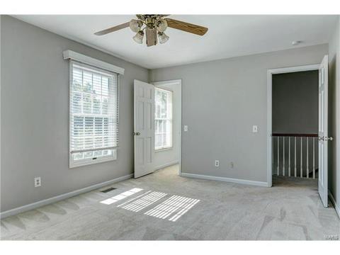 389 Dietrich Rd, Ballwin, MO 63021 photo 28
