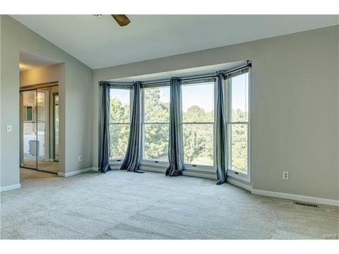 389 Dietrich Rd, Ballwin, MO 63021 photo 23