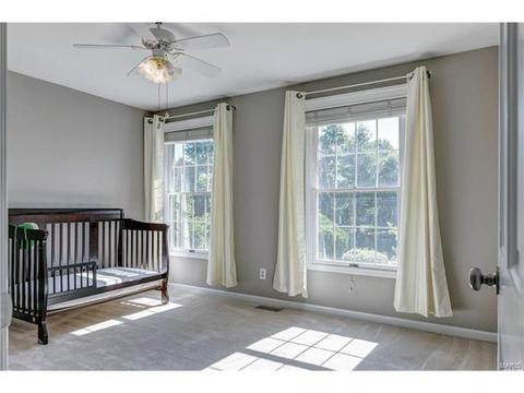 389 Dietrich Rd, Ballwin, MO 63021 photo 31