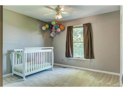 389 Dietrich Rd, Ballwin, MO 63021 photo 29
