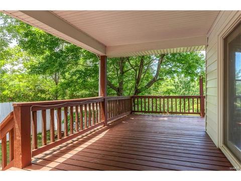 389 Dietrich Rd, Ballwin, MO 63021 photo 42
