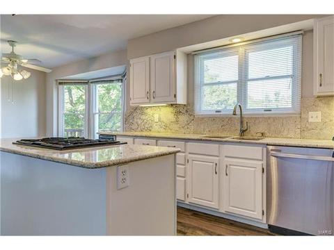 389 Dietrich Rd, Ballwin, MO 63021 photo 15