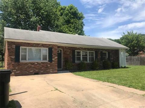 318 Eidson Ct, Ironton, MO 63650 photo 1