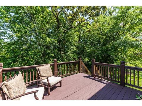 1465 Shelby Pt, O'fallon, MO 63366 photo 31