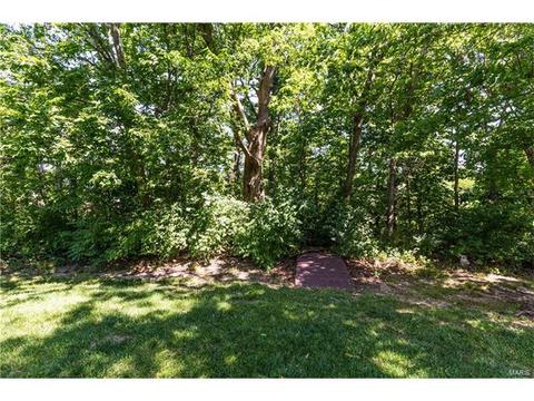 1465 Shelby Pt, O'fallon, MO 63366 photo 62