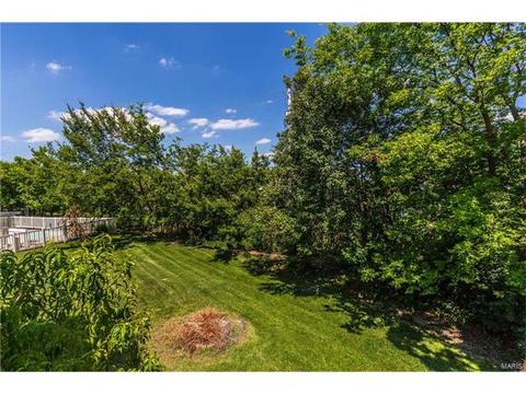 1465 Shelby Pt, O'fallon, MO 63366 photo 57