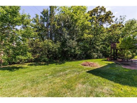 1465 Shelby Pt, O'fallon, MO 63366 photo 38