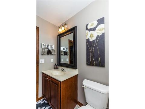 1465 Shelby Pt, O'fallon, MO 63366 photo 23