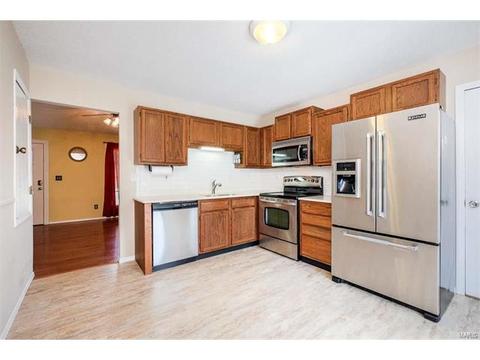 16 Saddleback Ct, O'fallon, MO 63368 photo 11