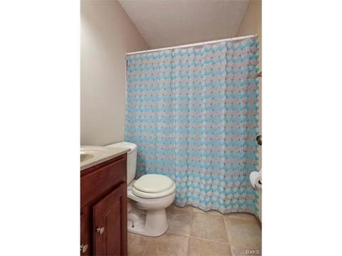 16 Saddleback Ct, O'fallon, MO 63368 photo 14