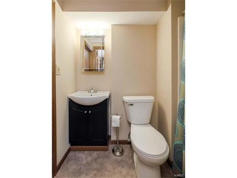 16 Saddleback Ct, O'fallon, MO 63368 photo 34