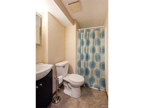 16 Saddleback Ct, O'fallon, MO 63368 photo 33