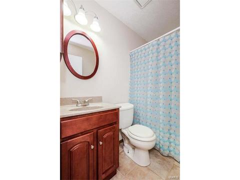 16 Saddleback Ct, O'fallon, MO 63368 photo 13
