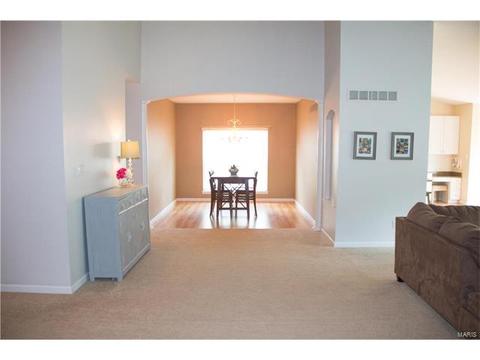158 Valleybrook Dr, O'fallon, MO 63368 photo 13