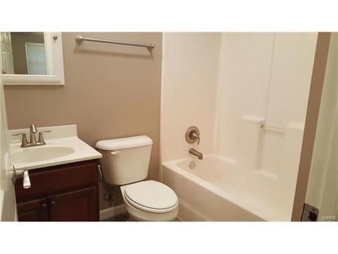 11115 Ebert Dr, Saint Louis, MO 63136 photo 12