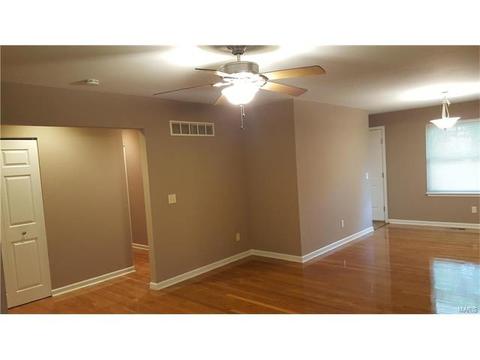11115 Ebert Dr, Saint Louis, MO 63136 photo 8