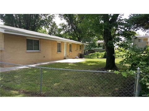 11115 Ebert Dr, Saint Louis, MO 63136 photo 18