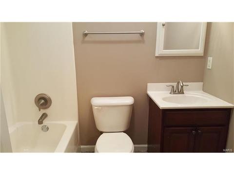 11115 Ebert Dr, Saint Louis, MO 63136 photo 14