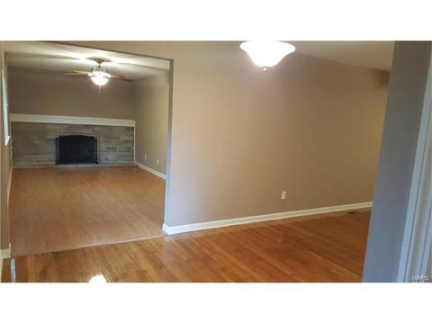 11115 Ebert Dr, Saint Louis, MO 63136 photo 7