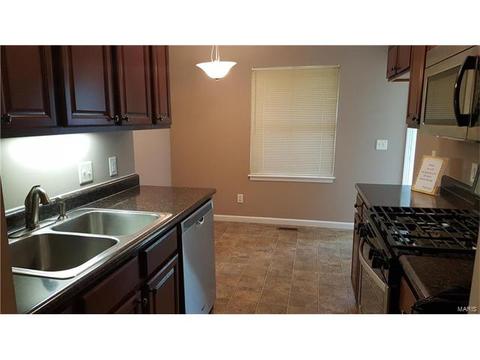 11115 Ebert Dr, Saint Louis, MO 63136 photo 6