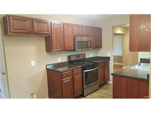 11115 Ebert Dr, Saint Louis, MO 63136 photo 4