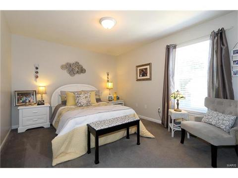 243 Cherry Hills Mdws, Grover, MO 63040 photo 19
