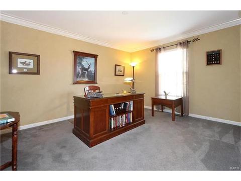243 Cherry Hills Mdws, Grover, MO 63040 photo 5