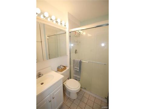 694 Rustic Valley Dr, Ballwin, MO 63021 photo 21