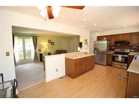 694 Rustic Valley Dr, Ballwin, MO 63021 photo 7