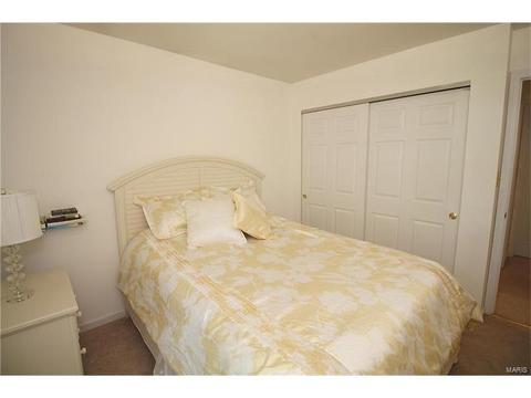 694 Rustic Valley Dr, Ballwin, MO 63021 photo 15