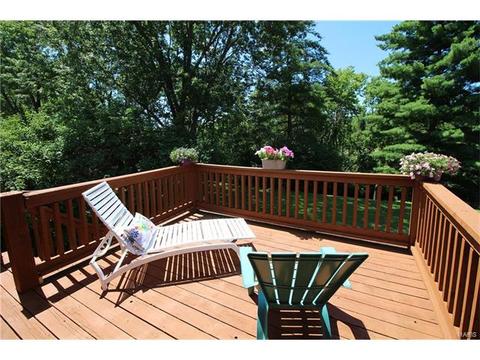 694 Rustic Valley Dr, Ballwin, MO 63021 photo 29