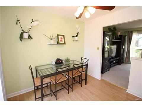 694 Rustic Valley Dr, Ballwin, MO 63021 photo 10