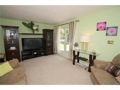 694 Rustic Valley Dr, Ballwin, MO 63021 photo 4
