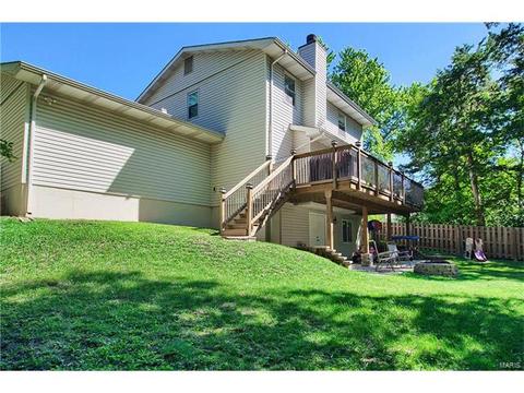 233 Walden Ct, Eureka, MO 63025 photo 28