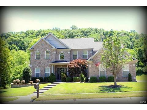 904 Kiefer Ridge Dr, Ballwin, MO 63021 photo 2