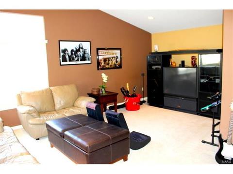 904 Kiefer Ridge Dr, Ballwin, MO 63021 photo 26