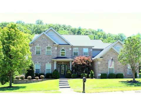 904 Kiefer Ridge Dr, Ballwin, MO 63021 photo 1